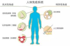 <b>试管婴儿移植前必须要做免疫系统测试吗?</b>