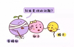 内分泌失调影响备孕吗