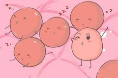 <b>做试管婴儿之前必须要到专业医院检测卵泡吗？</b>
