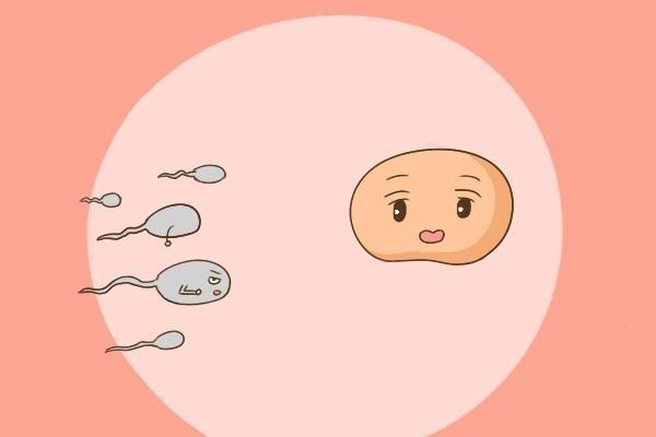 做试管婴儿多次促排对身体有什么影响？如何减轻副作用？