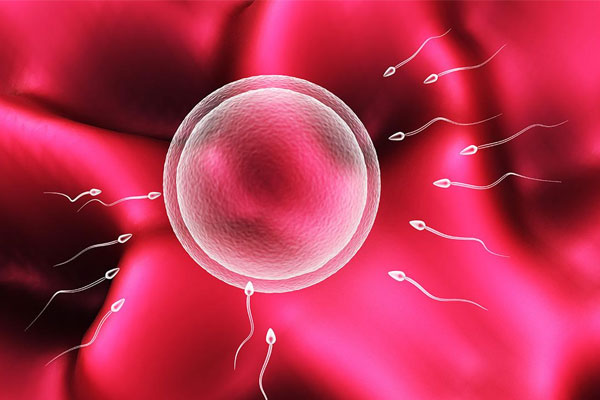 男方精子质量差怎么做试管婴儿？怎么提高精子质量？