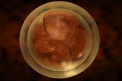 沈阳喜得籽试管婴儿单胚胎成功率移植有哪些优势？成功率如何