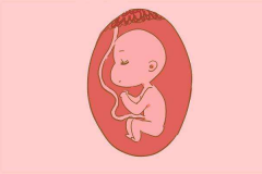 <b>在昆明喜得籽做试管婴儿的成功率有多高？步骤是什么？</b>