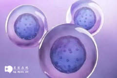 囊胚移植后打降调的作用有哪些