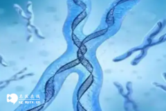 <b>染色体异常的四大症状该如何解读？</b>