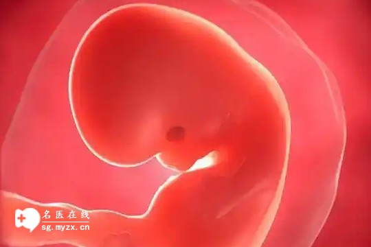女性有这3大症状并非怀孕，想要准确判断建议就医检查
