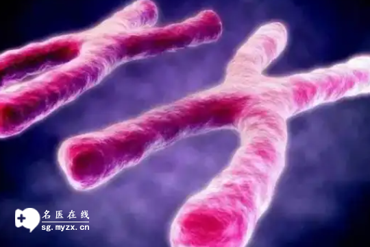 染色体异常会导致的不孕吗？有这4大信号要注意了，小心影响卵子发育