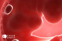 <b>胎停育后请暂缓清宫！做完这5项检查再评估</b>
