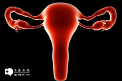 女性排卵后都有哪些信号