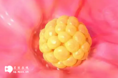 <b>做试管婴儿移植两次鲜胚都着床失败了是什么原因？</b>