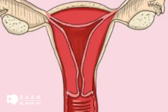 <b>女性接受试管婴儿治疗一般会有哪些隐患</b>