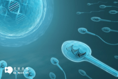 <b>精子DNA碎片率高死精多可以做三代试管婴儿吗</b>