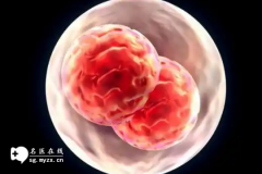 高龄女性做第三代试管婴儿囊胚活检淘汰率高吗