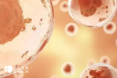 试管婴儿打丽申宝促排针是为了取出成熟卵子吗