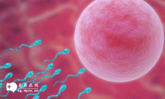 有没有三代试管婴儿包成功不限制促排移植次数