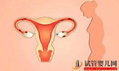 高龄女性如何延缓卵巢功能衰退，教你7个小妙招