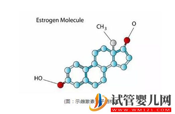 试管婴儿进周前检测雌激素是为什么?雌激素对于排卵进周的意义(图1) 试管婴儿进周前检测雌激素是为什么?雌激素对于排卵进周的意义