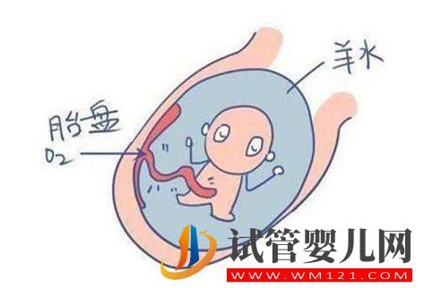 羊水的秘密你知道吗?带您了解女性的生育奥秘!(图2) 羊水的秘密你知道吗?带您了解女性的生育奥秘!