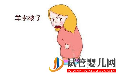 羊水的秘密你知道吗?带您了解女性的生育奥秘!(图3) 羊水的秘密你知道吗?带您了解女性的生育奥秘!