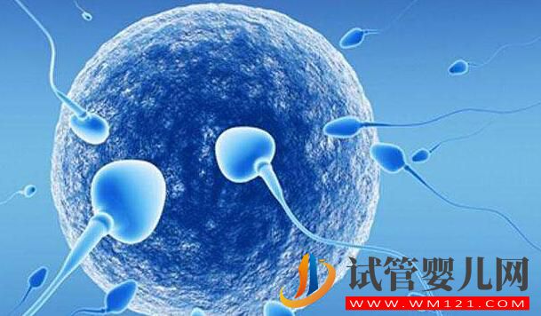 试管前的精液检查有什么需要注意的?染色体缺失有影响吗?(图1) 试管前的精液检查有什么需要注意的?染色体缺失有影响吗?