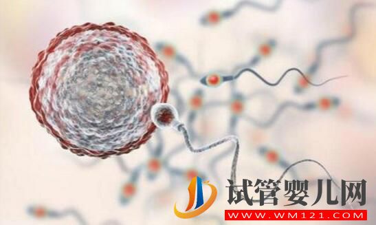 做试管婴儿多少岁比较合适?(图3) 做试管婴儿多少岁比较合适?医生:最好不超过这个年纪!