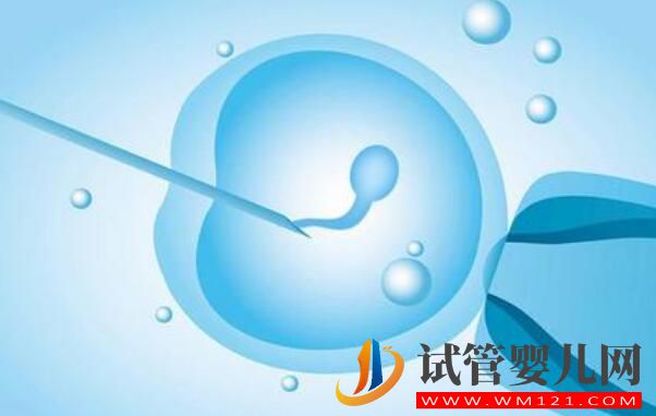 做试管为什么要做检查?都有哪些检查项目?(图3) 做试管为什么要做检查?都有哪些检查项目?