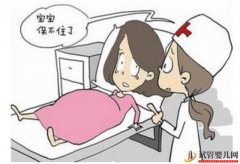 女子习惯性流产保胎又失败?发生过胚胎染色体