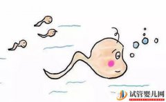 女方正常老公不育,这种情况要怎么做试管婴儿