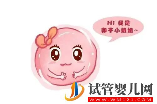 8个养卵秘方,祝你好孕!(图1) 8个养卵秘方,祝你好孕!(图1)
