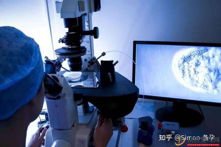 什么是第一代、二代、三代试管婴er别再傻傻分不清...(图4) 什么是第一代、二代、三代试管婴er别再傻傻分不清...(图4)