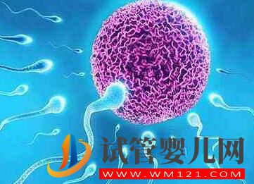 为什么高龄女性要选择做试管?高龄试管会有哪些风险呢?(图4) 为什么高龄女性要选择做试管?高龄试管会有哪些风险呢?