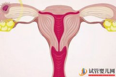 女性子宫内膜过薄对做试管婴儿有什么影响？
