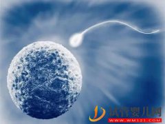 男方精子正常形态比例低于1%能做试管婴儿吗?