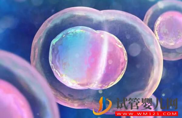 试管婴儿移植后,胚胎多久能着床?(图1) 试管婴儿移植后,胚胎多久能着床?