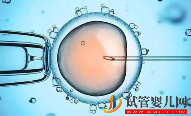 试管婴儿移植后,胚胎多久能着床?(图3) 试管婴儿移植后,胚胎多久能着床?