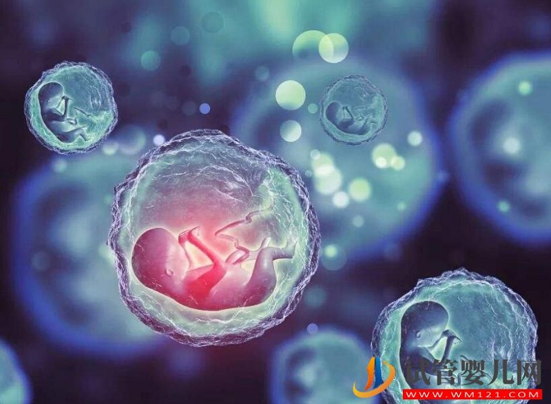 子宫内膜过薄会有什么影响?试管前应该如何预防?(图1) 子宫内膜过薄会有什么影响?试管前应该如何预防?
