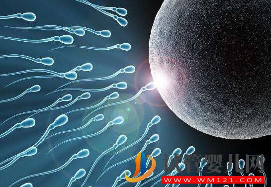子宫内膜过薄会有什么影响?试管前应该如何预防?(图4) 子宫内膜过薄会有什么影响?试管前应该如何预防?