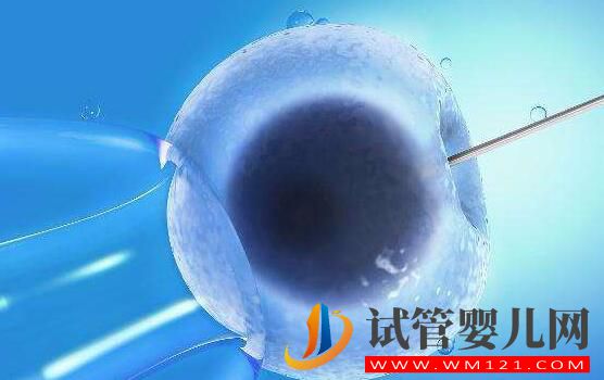 为什么囊胚移植的成功率会更高呢?(图2) 为什么囊胚移植的成功率会更高呢?