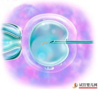 第三代试管婴可以排除染色体异常吗