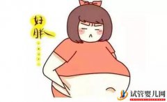 肥胖的多囊卵巢综合征做试管的成功率高吗