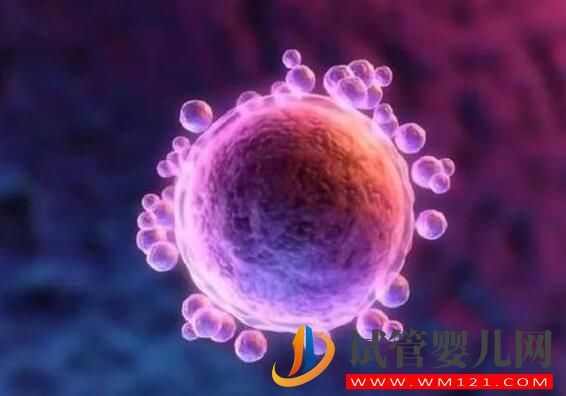 做完试管的怀孕症状你了解吗!(图1) 做完试管的怀孕症状你了解吗!