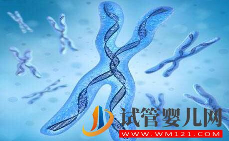 针对遗传疾病试管技术有什么效果?移植过后有不适怎么办?(图2) 针对遗传疾病试管技术有什么效果?移植过后有不适怎么办?