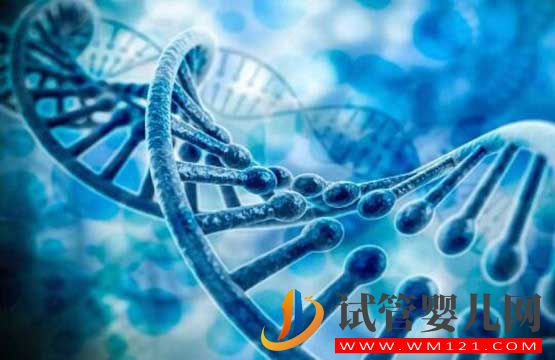 试管婴儿可以避免先天性聋哑等遗传性疾病吗(图1) 试管婴儿可以避免先天性聋哑等遗传性疾病吗
