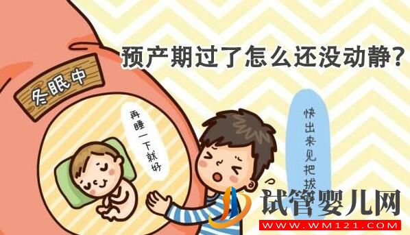 试管婴儿妊娠如何推算预产期 正常妊娠是怎么算的(图2) 试管婴儿妊娠如何推算预产期 正常妊娠是怎么算的