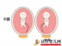 <b>单胎移植后最晚多少天可以变成双胎?</b>