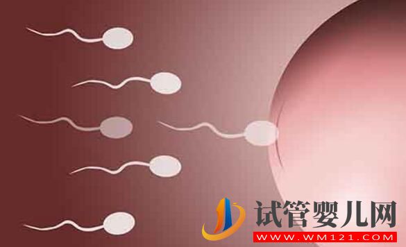 试管婴儿手术费用 影响试管婴儿费用的因素有哪些(图2) 试管婴儿手术费用 影响试管婴儿费用的因素有哪些