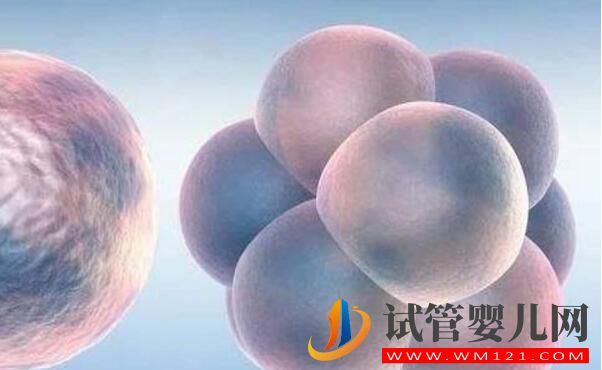 试管婴儿手术费用 影响试管婴儿费用的因素有哪些(图3) 试管婴儿手术费用 影响试管婴儿费用的因素有哪些