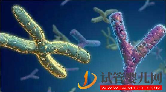 试管婴儿前染色体检查有必要做(图2) 试管婴儿前染色体检查有必要做吗