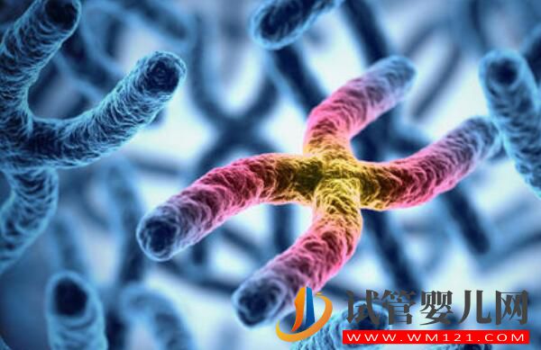 做试管婴儿一定要降调吗?是如何降调成功的?(图1) 做试管婴儿一定要降调吗?是如何降调成功的?