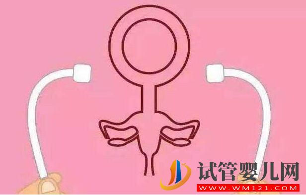 高龄女性卵巢功能低,试管手术可以做吗(图3) 高龄女性卵巢功能低,试管手术可以做吗